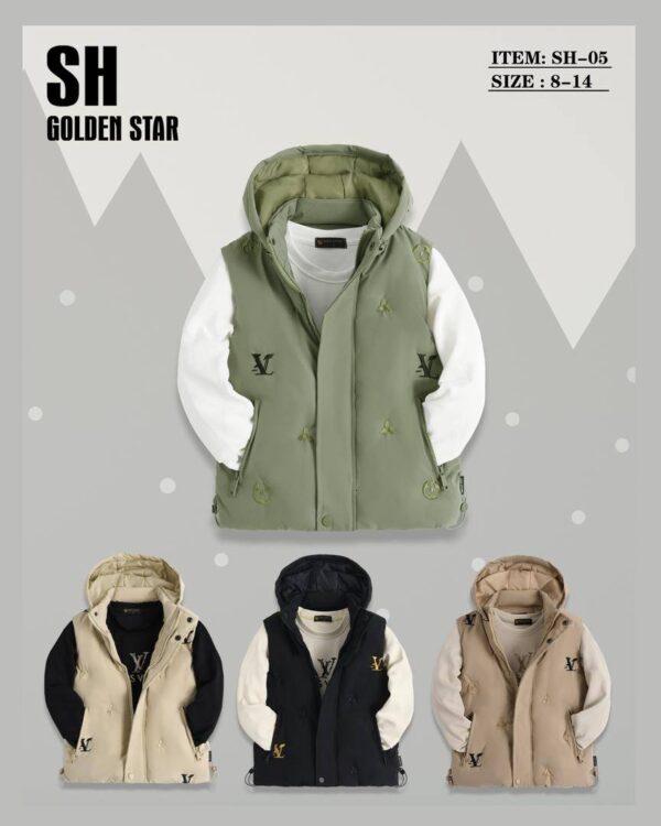 veste modern
