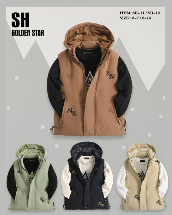 veste modern